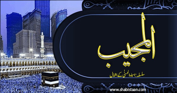 المجیب